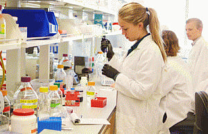 New target for schizophrenia cure found