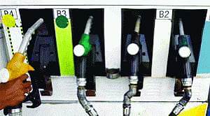 After l-G's order, finance dept starves CNG probe panel