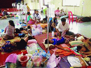 Released Rs60 cr to civic bodies to tackle dengue : Govt to HC