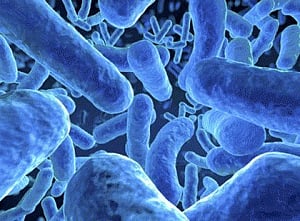 Novel protein that protects against gut diseases