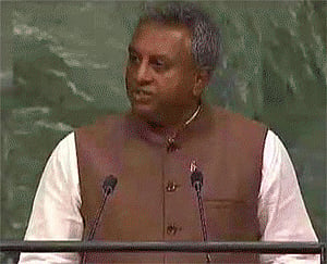 UN summit: Indian-origin person calls for green goals