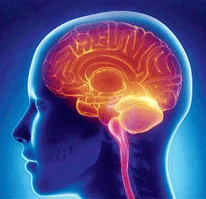 large study on how substance use affects young brains launched