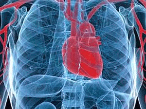 Novel test to reveal genetic risk for heart diseases