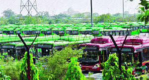 DTC mulls cluster scheme