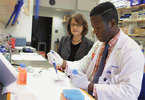 Anti-cancer drug may sharpen memory, treat Alzheimer's