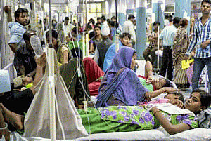 Dengue epidemic likely to be more severe next year