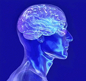 Decoding brain cells' moods may manage alcoholism: Study