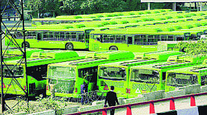 Bluelines to make a comeback on Delhi roads?