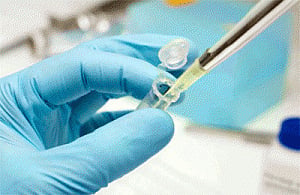 Malaria protein could help treat cancer