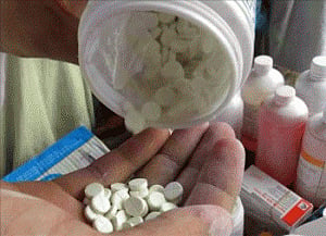 World's largest toxin database to help develop new drugs