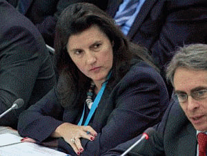 UN Security Council reforms process gets new chair