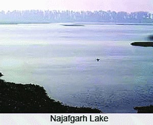Toxins in drinking water in Najafgarh?