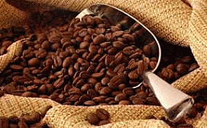 Govt allows 100% FDI in five plantation crops including coffee