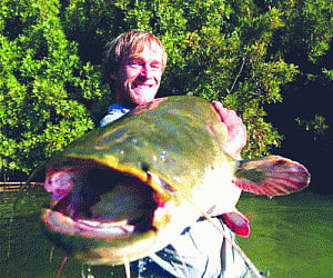 looking for freshwater river giants