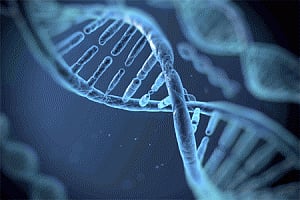 Indians should examine their genomics: US virology expert