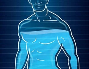 New sensor can detect estrogen levels in body fluids