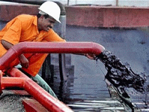 Crude prices fall as OPEC fails to cut quota