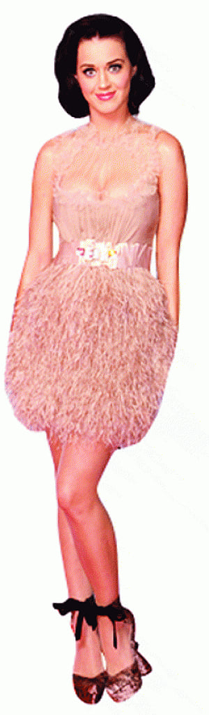 Trend Blazer