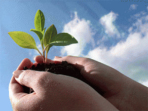 Shaping your destiny