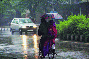 Sudden rain uncloaks winter chill