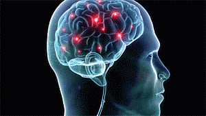 Brain signals that help people focus identified