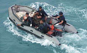 Divers sent to investigate pings from crashed AirAsia jet