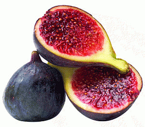 The Greek's sacred fruit