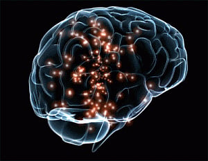 Brain may instruct our body to burn more fat