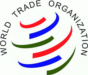 India can help find solution to food security issue: WTO