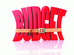 Bloated spending on food adds bulk to EC budget