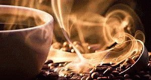 Scientists find protein in coffee with effect like morphine