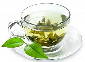 Green tea ingredient shows promise against oral cancer