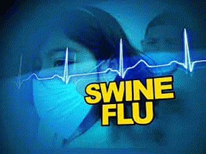 Swine flu toll in Telangana mounts to 36