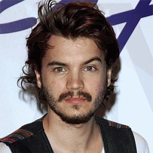 Emile Hirsch charged with felony