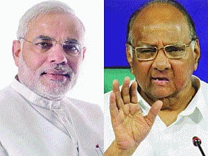 Modi to break bread with Pawar on V-day