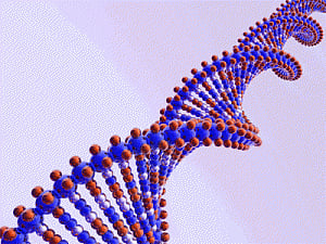 Seven genes tied to intellectual disability found