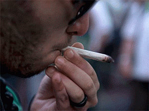 Psychosis five times more likely for cannabis users: study