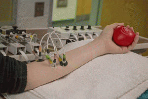 Hydrogen sulfide may help regulate blood pressure