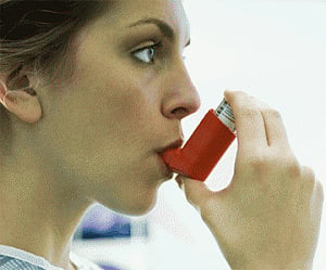 Protein tied to asthma identified