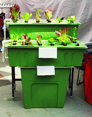 A greenhouse effect