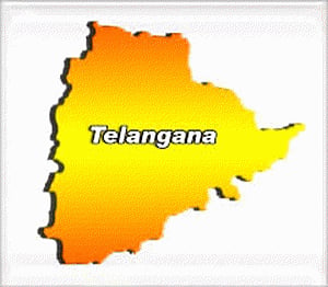 Flaw in AP Reorg Act may delay Telangana leg Council polls