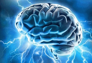 Human brains age less than previously thought