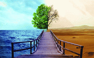 Nature: love it or fear it?