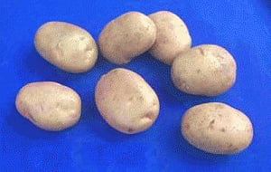No quick fix to plight of potato farmers in Bengal: Minister