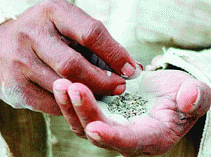 Delhi Govt to ban sale, purchase of chewable tobacco from Monday