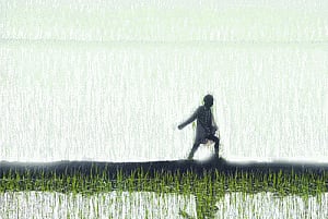 Cabinet nod for land Ordinance
