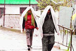 'Disturbance' on  way to help you  keep your cool