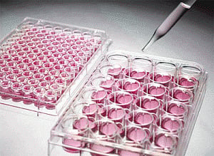 Human trial holds promise for novel cancer vaccines