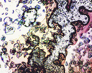 Experiments in a shell