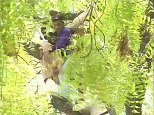 Farmer commits suicide at AAP rally